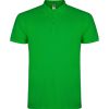 Polos para trabajar roly star de 100% algodón verde grass con impresión vista 1